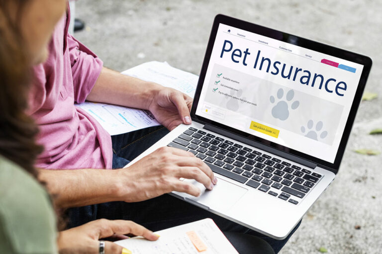 3 essential tips for choosing the right pet insurance plan