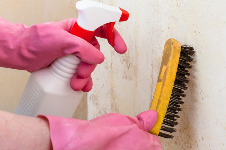 3 natural ways to remove mold