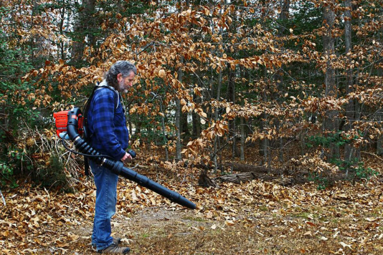 3 popular leaf blowers to clean up your yard with ease