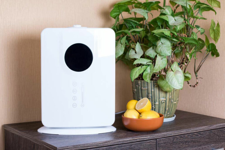 5 best home air purifiers