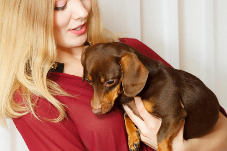 5 dog breeds perfect for first-time pet parents