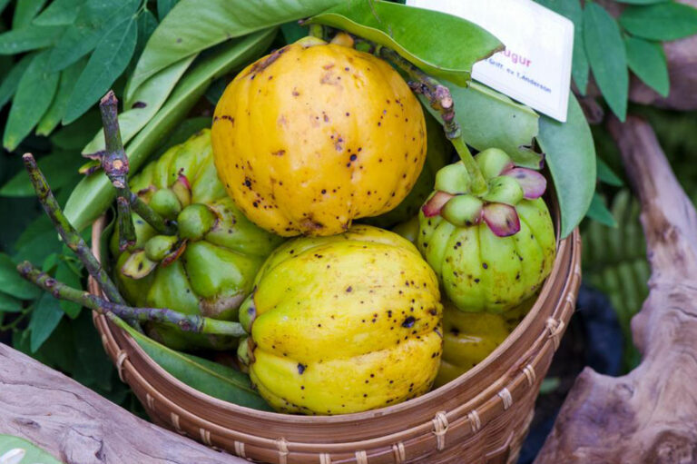 7 Profound Side Effects Of Garcinia Cambogia